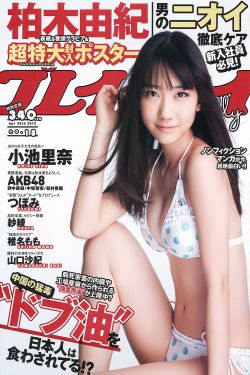 南方有乔木剧情介绍