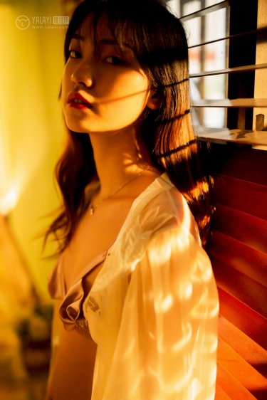 赘婿第二季什么时候上映